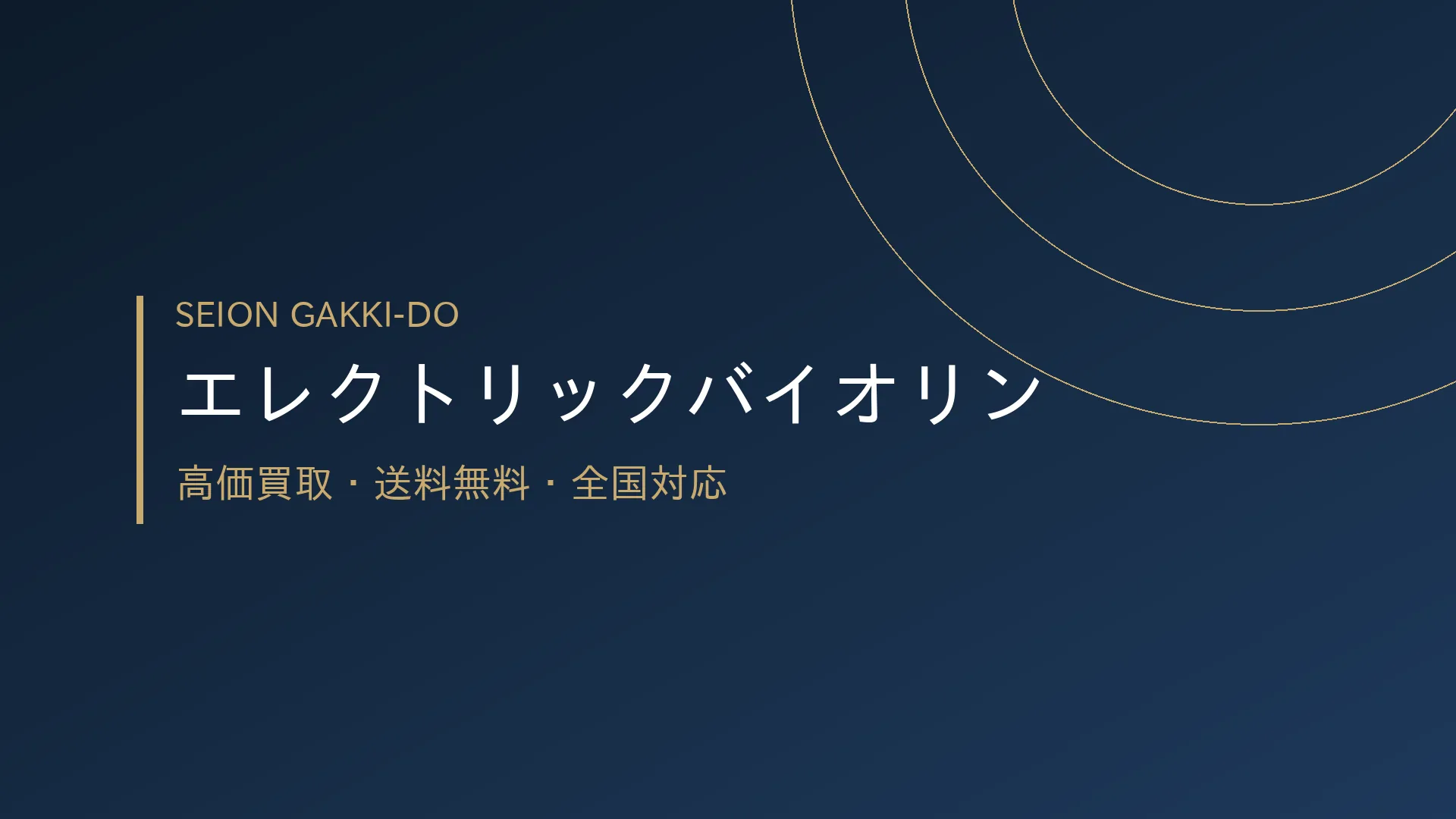 エレクトリックバイオリン買取